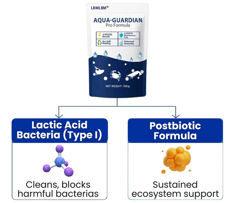 ✨ From Green to Clean Overnight! | ⏱️ Crystal Clear in 24 Hours! | Aqua-Guardian Pro Formula