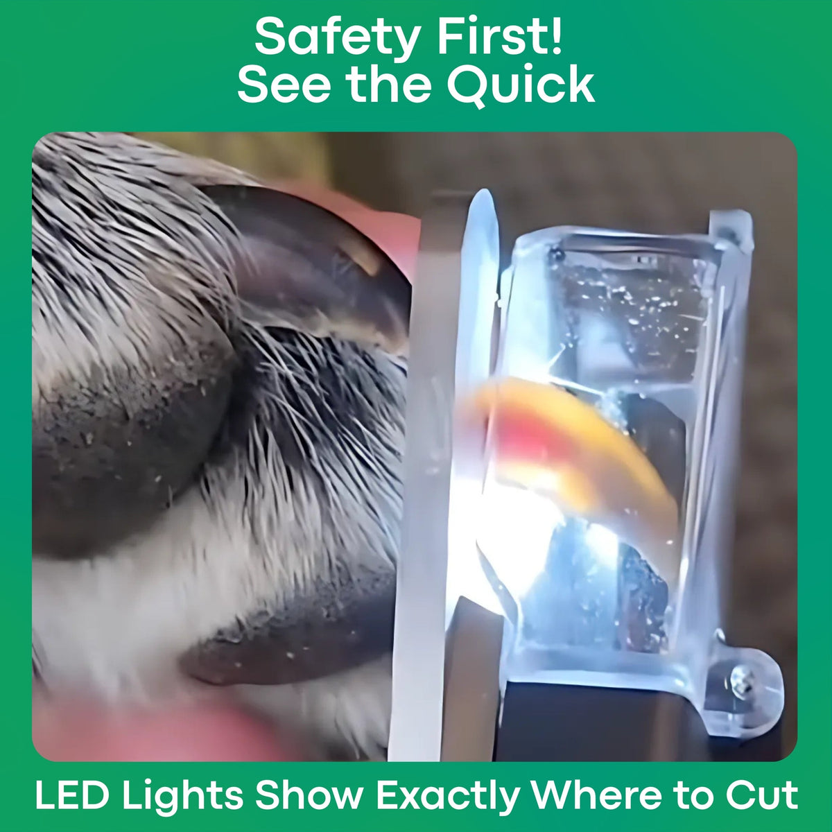 Jeremytis™ LED Safety Pet Clipper – Clean Cuts, No Pain