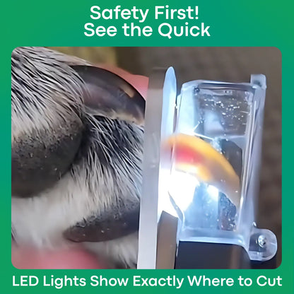 Jeremytis™ LED Safety Pet Clipper – Clean Cuts, No Pain