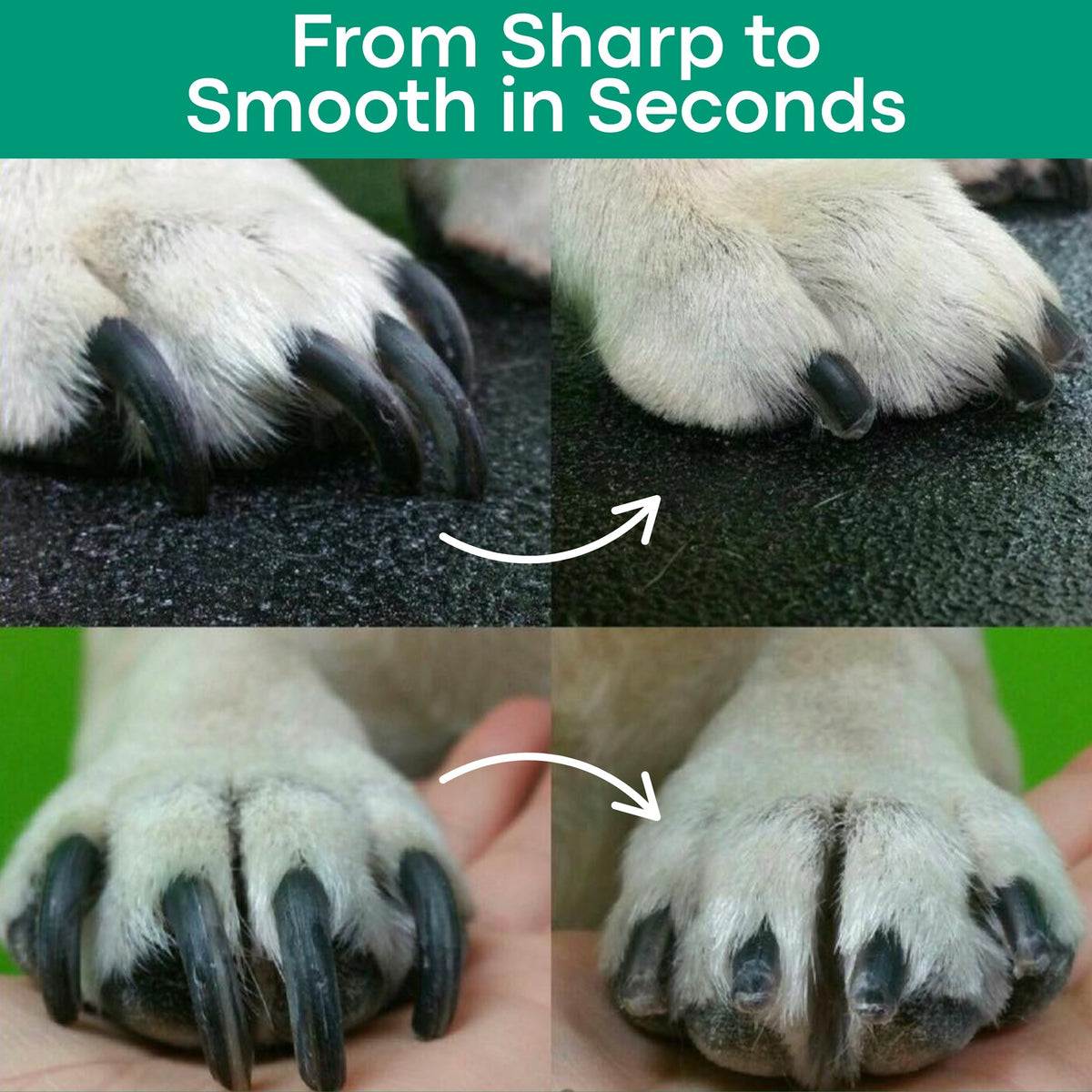 Jeremytis™ LED Safety Pet Clipper – Clean Cuts, No Pain