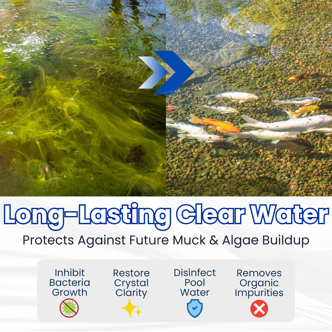 ✨ From Green to Clean Overnight! | ⏱️ Crystal Clear in 24 Hours! | Aqua-Guardian Pro Formula