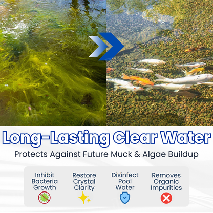 ✨ From Green to Clean Overnight! | ⏱️ Crystal Clear in 24 Hours! | Aqua-Guardian Pro Formula