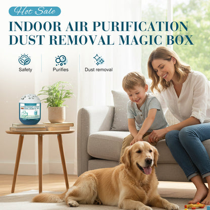 ✨2026 New Collection - Limited-Time Offer⏰Indoor Air Purification Dust Removal Magic Box🏠Bringing health to the family.👵👶